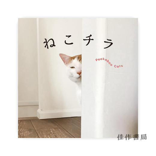 ねこチラ / 猫眼  Peekaboo Cats  商品图0