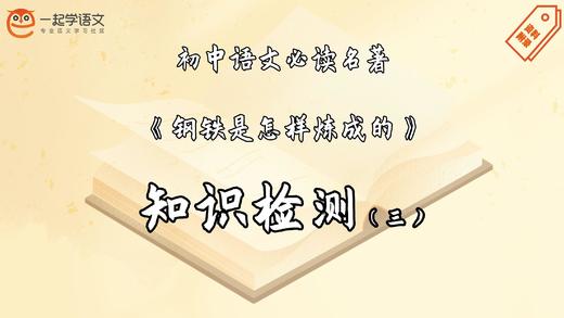 《钢铁是怎样炼成的》知识检测（三） 商品图0