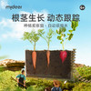 mideer弥鹿阳光房种植儿童太阳能种菜玩具植物观察窗盒科学小实验 商品缩略图0