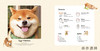 Shiba Inu Ryuji / 柴犬摄影   柴犬りゅうじ 商品缩略图1