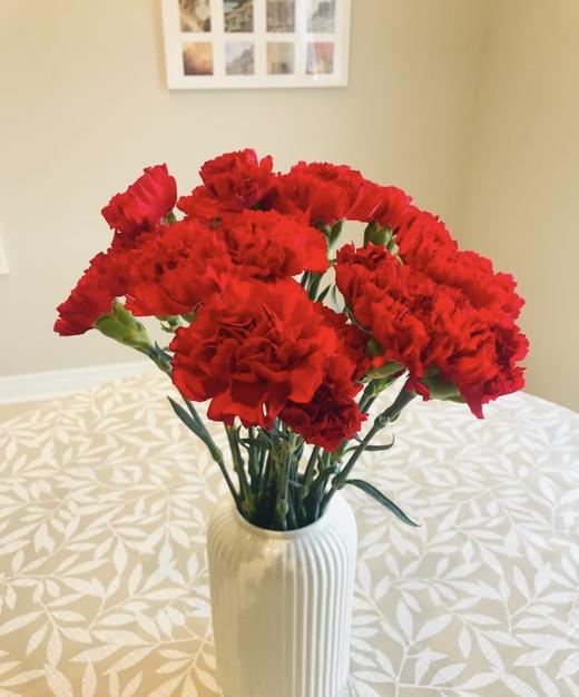 【国产康乃馨】  红色 18-20枝 商品图2