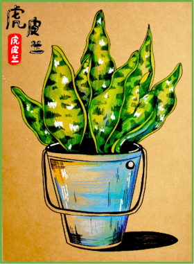 《一盆美丽的虎皮兰》【自动发货：下单后，点击手机短信中收到的链接，即可获取文件下载的链接；如有任何问题，可添加客服微信hm33268获得帮助】