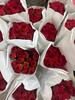 【国产康乃馨】  红色 18-20枝 商品缩略图5