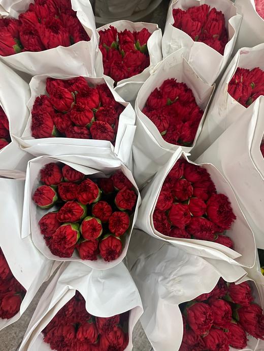 【国产康乃馨】  红色 18-20枝 商品图5