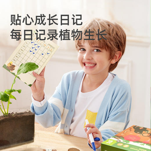 mideer弥鹿阳光房种植儿童太阳能种菜玩具植物观察窗盒科学小实验 商品图3