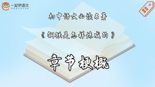 《钢铁是怎样炼成的》章节梗概 商品图0
