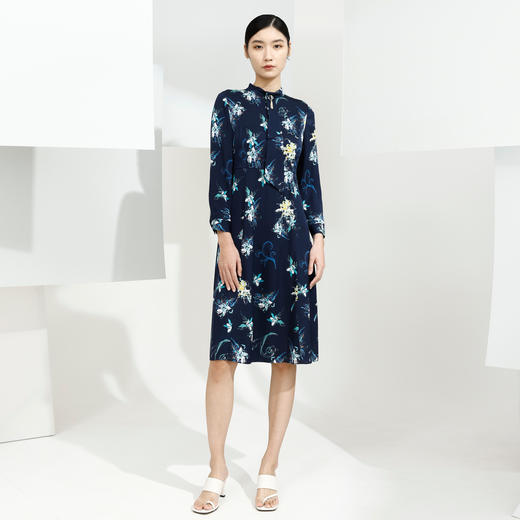 戴布拉芬连衣裙L26A525 商品图2