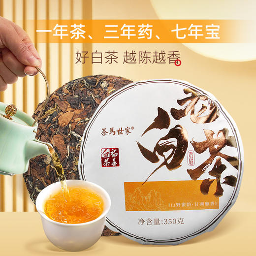 【福鼎地标】茶马世家2017年太姥山贡眉紧压茶饼叶枣香老白茶叶350g 商品图4