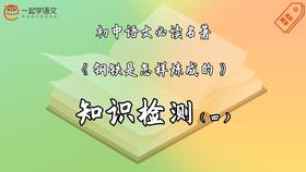 《钢铁是怎样炼成的》知识检测（四）