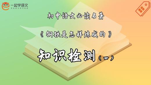 《钢铁是怎样炼成的》知识检测（四） 商品图0