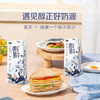 君乐宝 遇见奶牛 200mL*24盒 营养品质 纯牛奶 整箱装 包邮 商品缩略图0