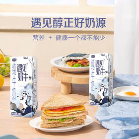 君乐宝 遇见奶牛 200mL*24盒 营养品质 纯牛奶 整箱装 包邮
