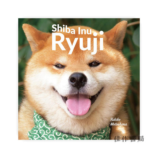 Shiba Inu Ryuji / 柴犬摄影   柴犬りゅうじ 商品图0