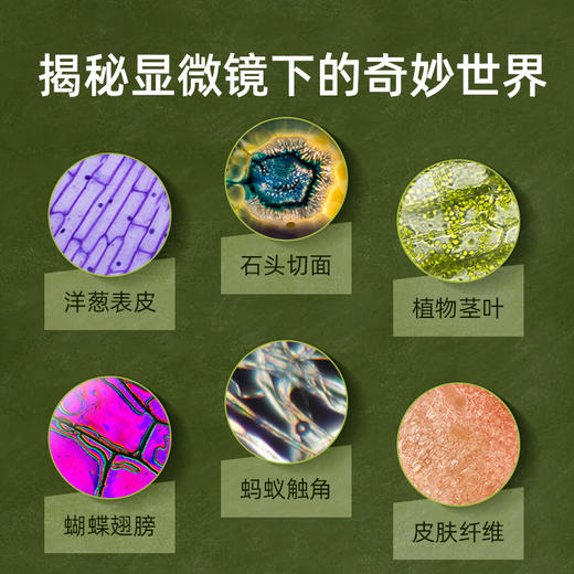 mideer弥鹿 儿童科教生物便捷式显微镜探索套装学生自然科学玩具 商品图2