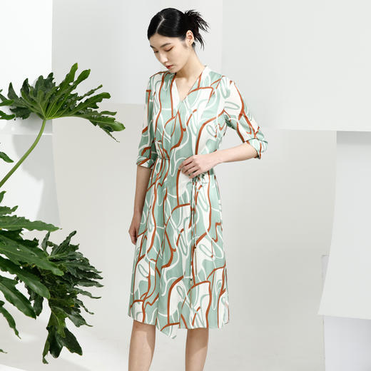 戴布拉芬连衣裙L26A520 商品图2