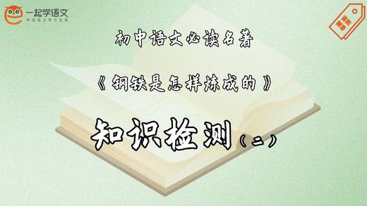 《钢铁是怎样炼成的》知识检测（二） 商品图0