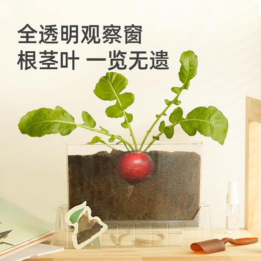 mideer弥鹿阳光房种植儿童太阳能种菜玩具植物观察窗盒科学小实验 商品图1