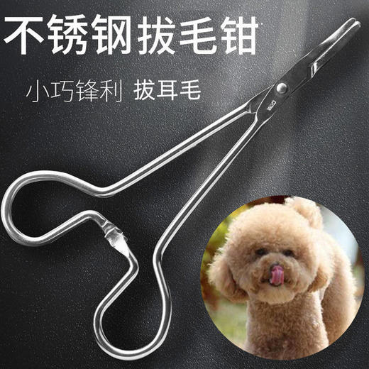 宠物拔毛夹 止血钳小号 直头弯头 狗狗猫咪耳部护理工具 商品图0