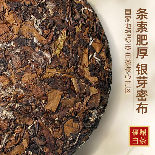 【福鼎地标】茶马世家2017年太姥山贡眉紧压茶饼叶枣香老白茶叶350g 商品图1