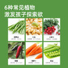 mideer弥鹿阳光房种植儿童太阳能种菜玩具植物观察窗盒科学小实验 商品缩略图2