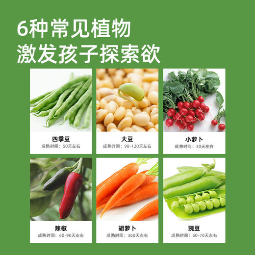mideer弥鹿阳光房种植儿童太阳能种菜玩具植物观察窗盒科学小实验 商品图2