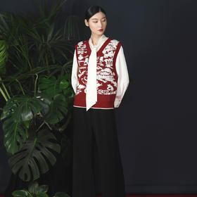 戴布拉芬针织马甲L26A302