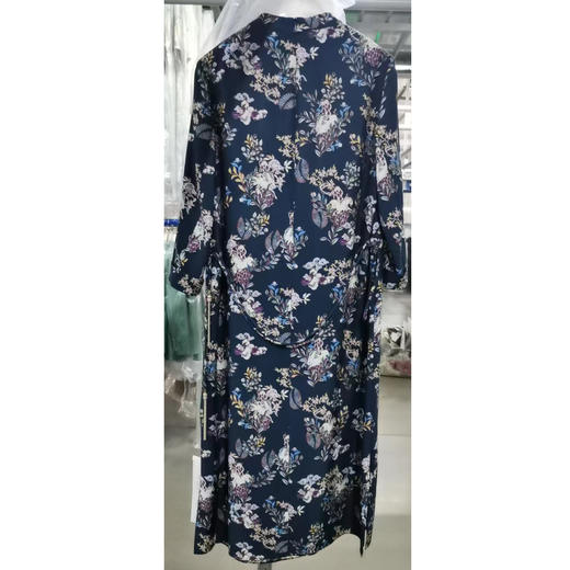 戴布拉芬连衣裙L26A520 商品图4