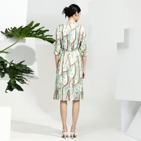 戴布拉芬连衣裙L26A520