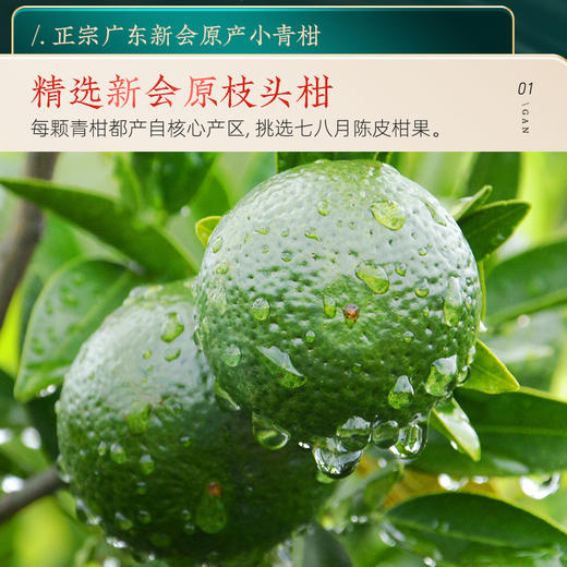 【金奖高颜值】茶马世家国风礼盒小青柑300g 商品图1