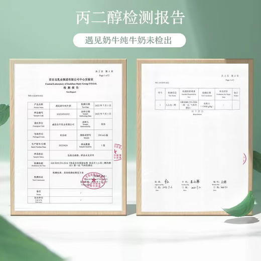 君乐宝 遇见奶牛 200mL*24盒 营养品质 纯牛奶 整箱装 包邮 商品图2