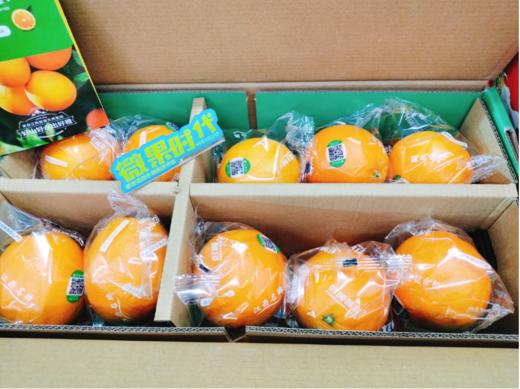 莲花香橙一箱 商品图1