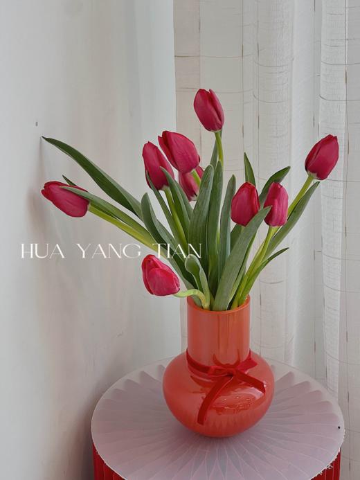 郁金香 · 年宵瓶花 商品图1