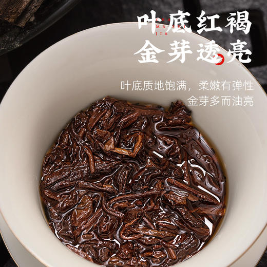 【纪念款】茶马世家藏月年份老茶357g 商品图4