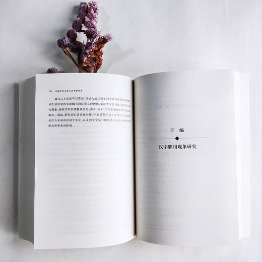 汉语字词关系与汉字职用学（中国语言学前沿丛书） 李运富 主编 商务印书馆 商品图2