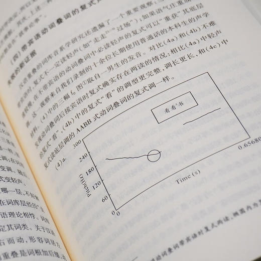 句法构词的理论与实践（中国语言学前沿丛书） 程工 主编 商务印书馆 商品图8