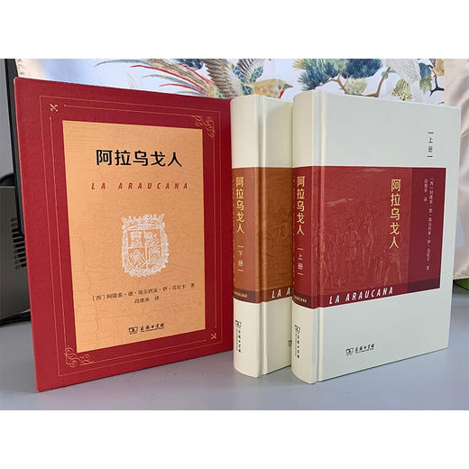 阿拉乌戈人(全两册) [西]阿隆索·德·埃尔西亚·伊·苏尼卡 著 段继承 译 商务印书馆 商品图2