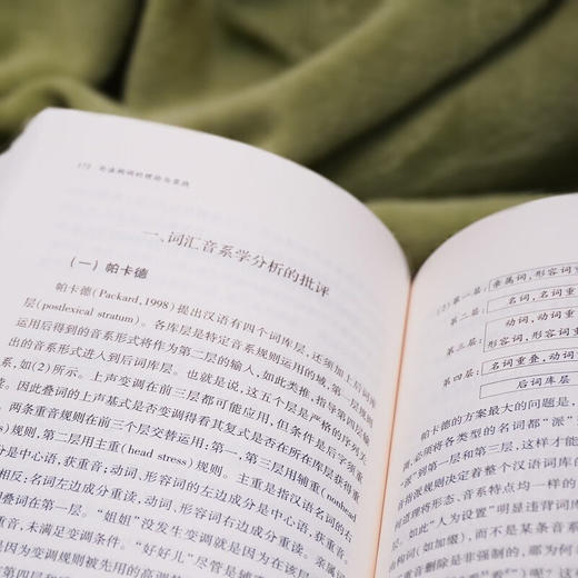 句法构词的理论与实践（中国语言学前沿丛书） 程工 主编 商务印书馆 商品图6