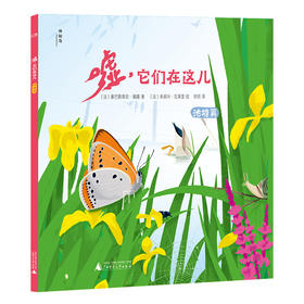 嘘，它们在这儿  池塘篇