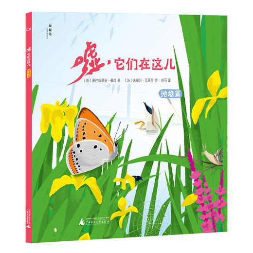 嘘，它们在这儿  池塘篇 商品图0