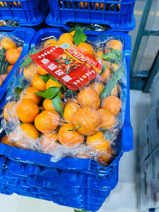 广西砂糖橘 带框10斤箱装 商品图1