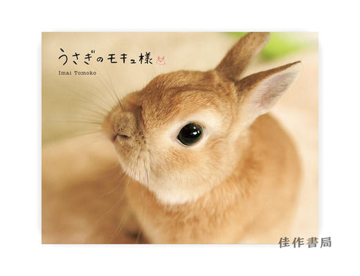 うさぎのモキュ様 / 我亲爱的兔子  MOQ  My Darling Bunny  商品图0