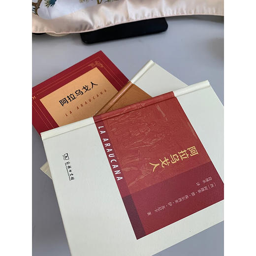 阿拉乌戈人(全两册) [西]阿隆索·德·埃尔西亚·伊·苏尼卡 著 段继承 译 商务印书馆 商品图8