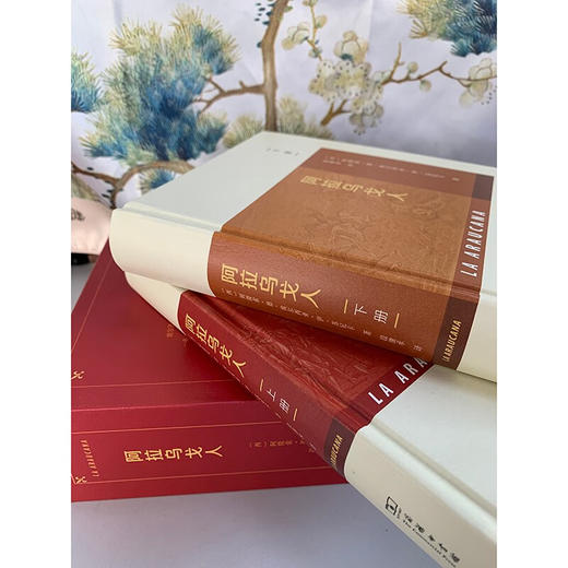 阿拉乌戈人(全两册) [西]阿隆索·德·埃尔西亚·伊·苏尼卡 著 段继承 译 商务印书馆 商品图6