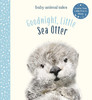 晚安小海獭 儿童小动物绘本故事纸板书 英文原版 Goodnight  Little Sea Otter Magic Cat绘本 商品缩略图0