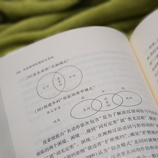 句法构词的理论与实践（中国语言学前沿丛书） 程工 主编 商务印书馆 商品图9