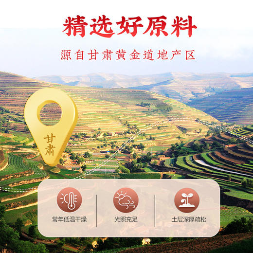 【官方正品】云南白药七花黄芪150g道地原料甘肃黄芪片主根切片黄氏泡水养生滋补 商品图1