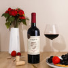 乌拉圭嘉颂品丽珠珍藏红葡萄酒 商品缩略图0