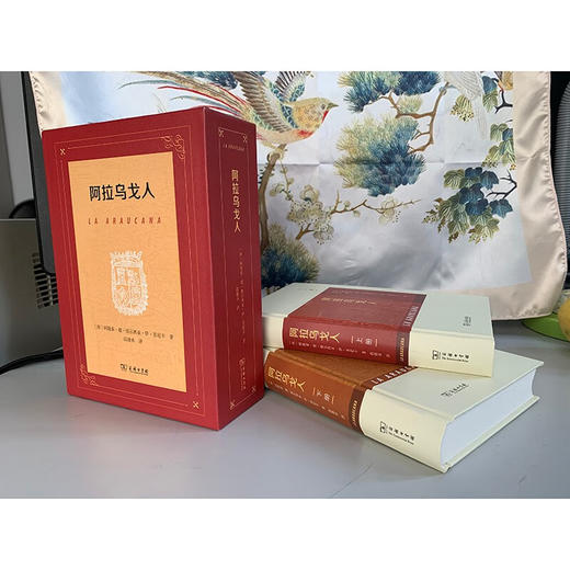 阿拉乌戈人(全两册) [西]阿隆索·德·埃尔西亚·伊·苏尼卡 著 段继承 译 商务印书馆 商品图3