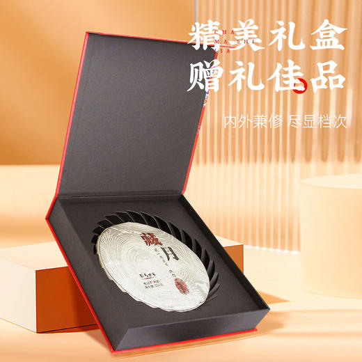 【纪念款】茶马世家藏月年份老茶357g 商品图1