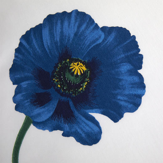 KCA-010 Koqelico 丽春全棉四件套 商品图6